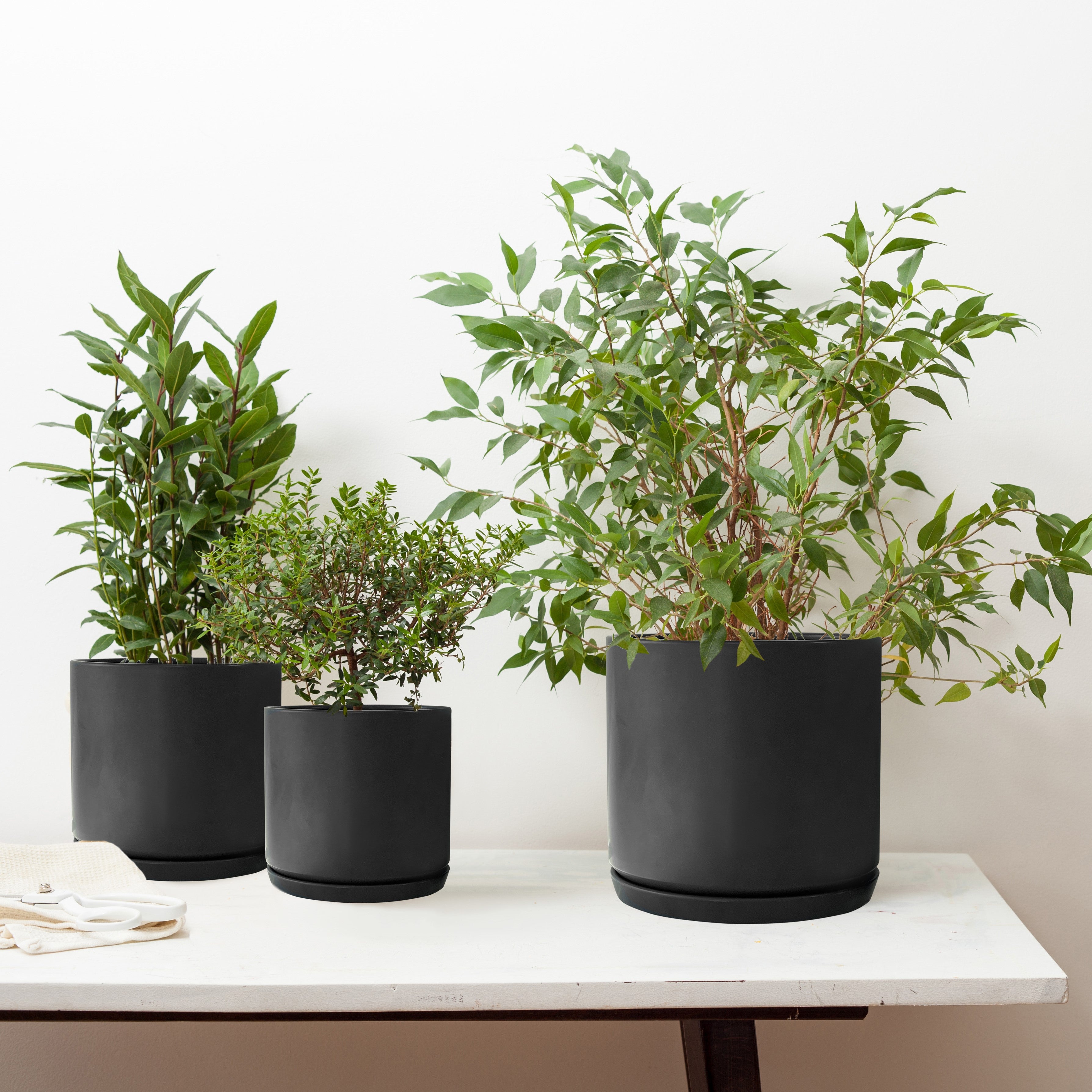 Matt Black Ceramic Plant Pots Set 3 With Saucers Olly Rose Matt black ceramic plant pots set 3 with saucers olly rose