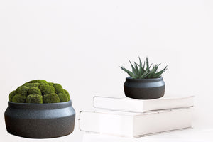 plant pot shallow Shallow Plant Pots - Grey