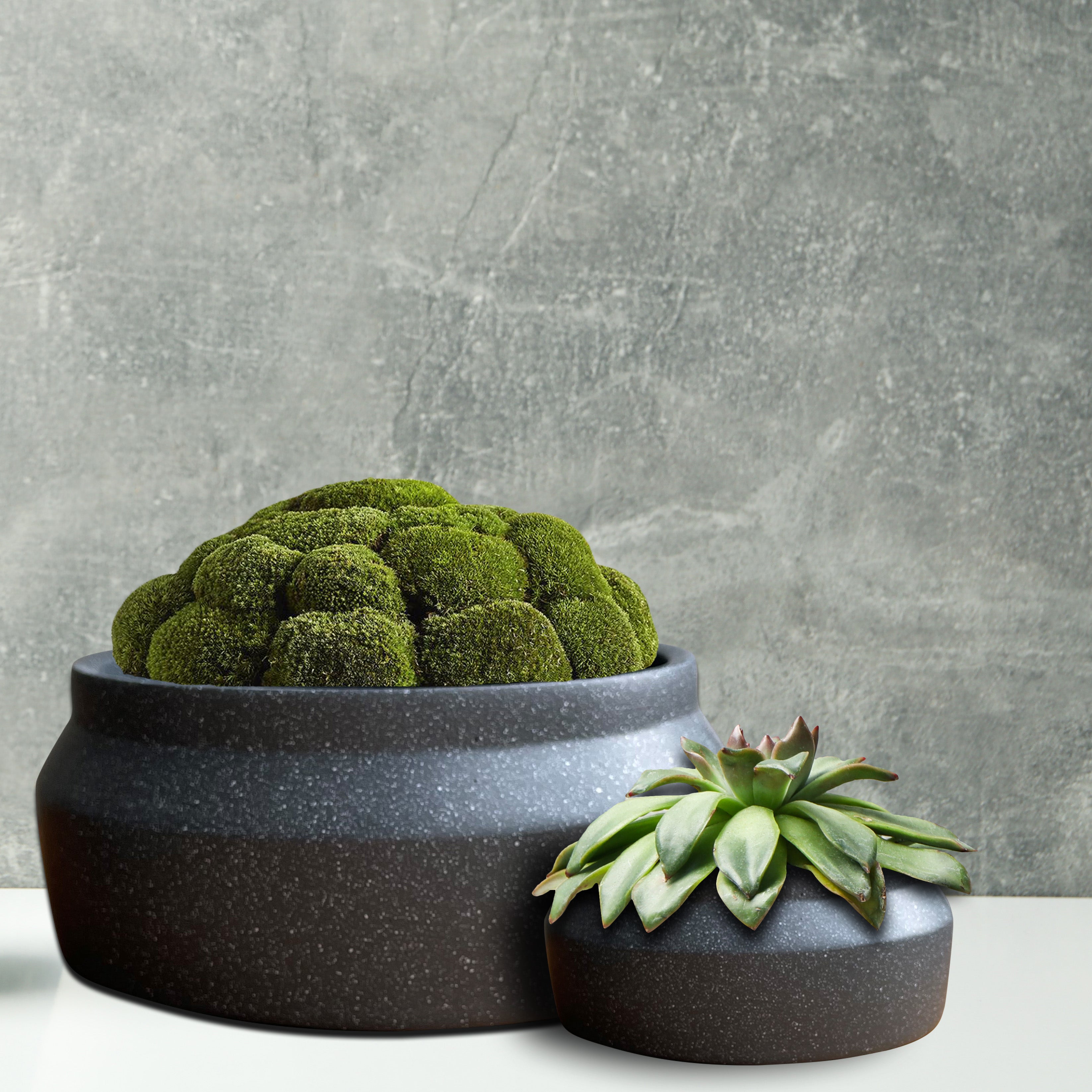 round shallow plant pot Shallow Plant Pots - Grey