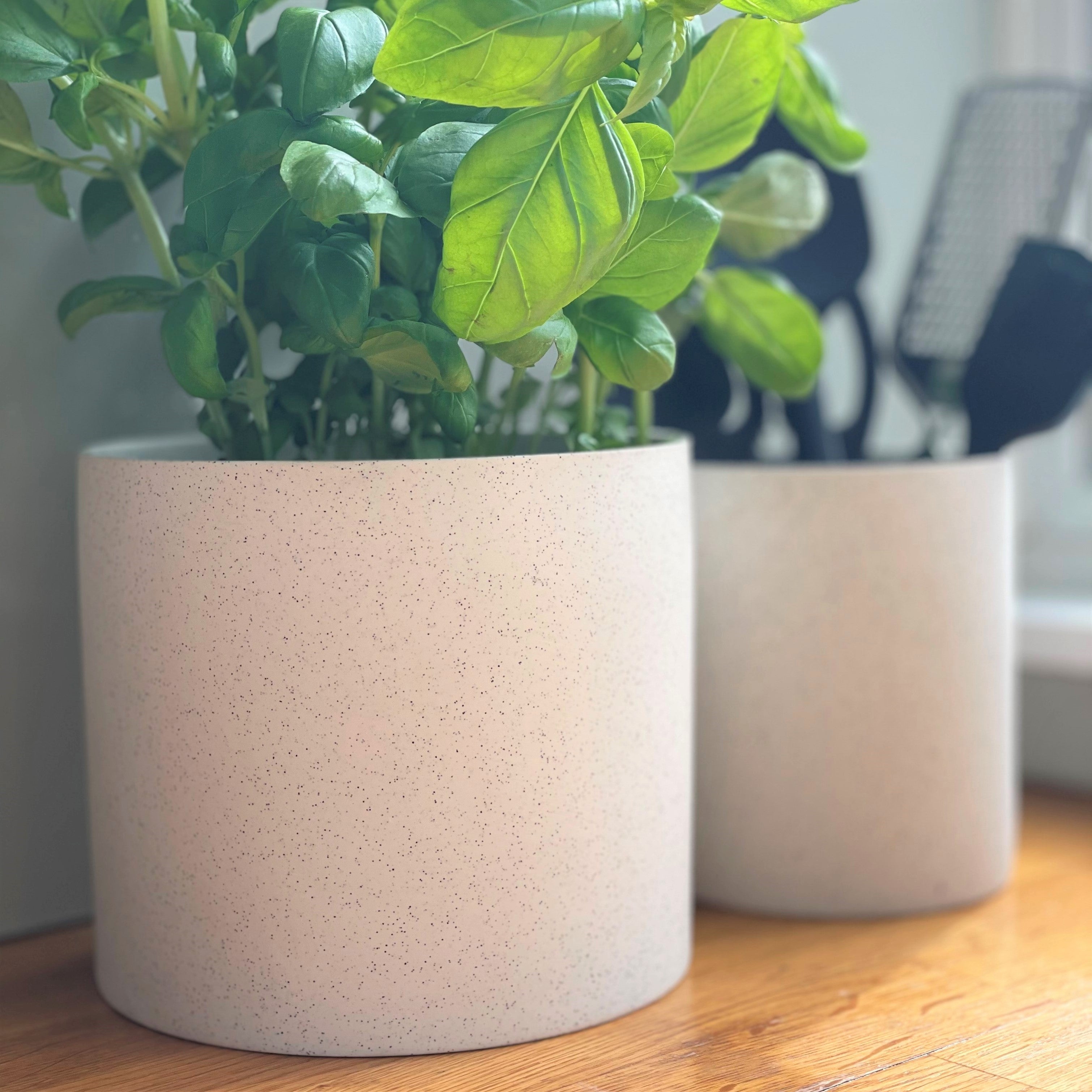 Speckled White Clay Plant Pots - Set 2