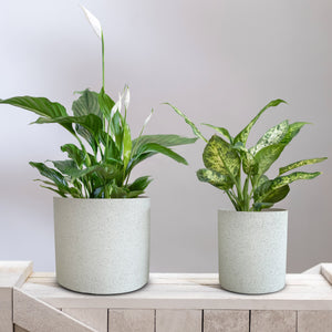 Speckled White Clay Plant Pots - Set 2