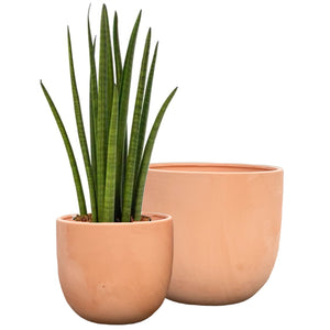 Terracotta Plant Pots - Set 2 - 22 and 17cm