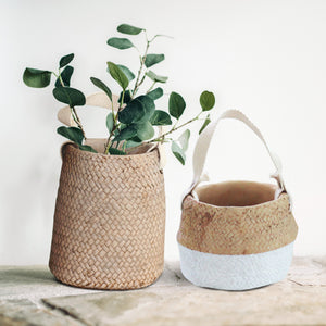 Basket Weave Design Cement - Plant Pots - Set 2